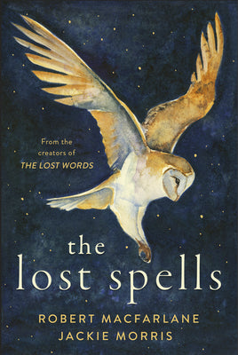 The Lost Spells by MacFarlane, Robert book cover