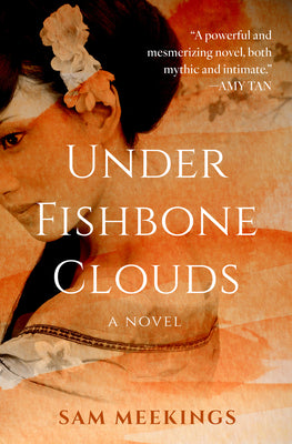 Under Fishbone Clouds by Sam Meekings book cover