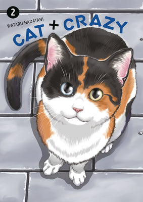 Book cover of Cat + Crazy Volume 2 by Nadatani, Wataru