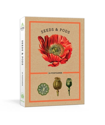 Seeds and Pods: 24 Postcards product image