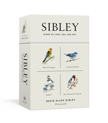 Sibley Birds of Land, Sea, and Sky: 50 Postcards product image