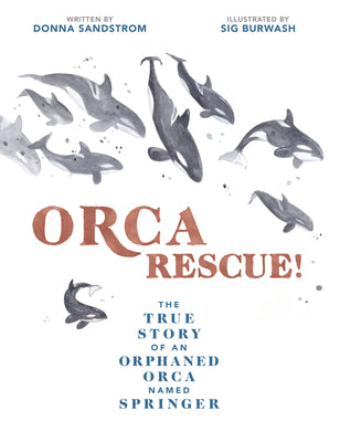 Orca Rescue!: The True Story of an Orphaned Orca Named Springer by Donna Sandstrom book cover