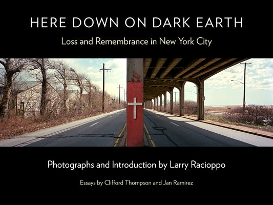 Book cover of Here Down on Dark Earth: Loss and Remembrance in New York City by Racioppo, Larry