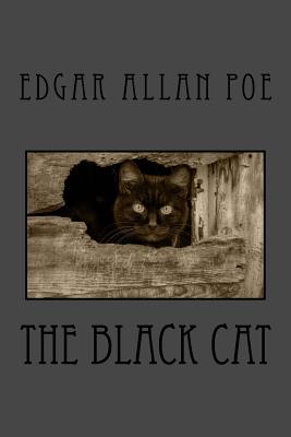 The Black Cat by Edgar Allan Poe book cover