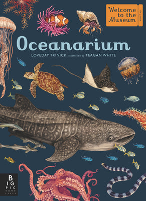 Oceanarium: Welcome to the Museum by Loveday Trinick book cover