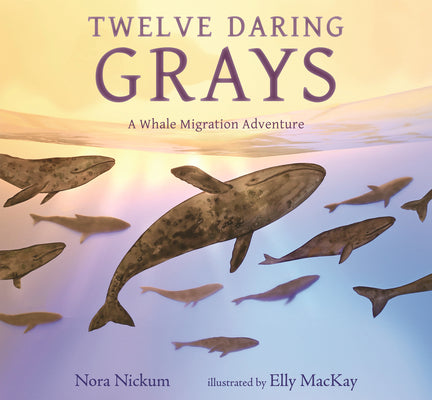 Book cover of Twelve Daring Grays: A Whale Migration Adventure by Nickum, Nora