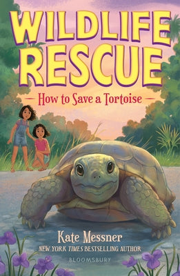 Book cover of How to Save a Tortoise by Messner, Kate