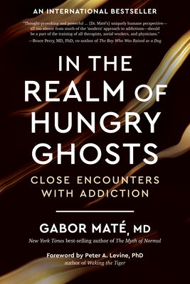 Book cover of In the Realm of Hungry Ghosts: Close Encounters with Addiction by Mat