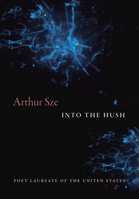 Book cover of Into the Hush by Sze, Arthur