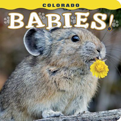 Colorado Babies! by Lemann, Steph book cover