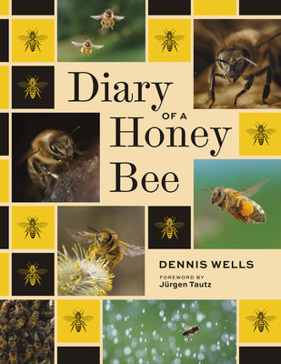 Diary of a Honey Bee by Dennis Wells book cover
