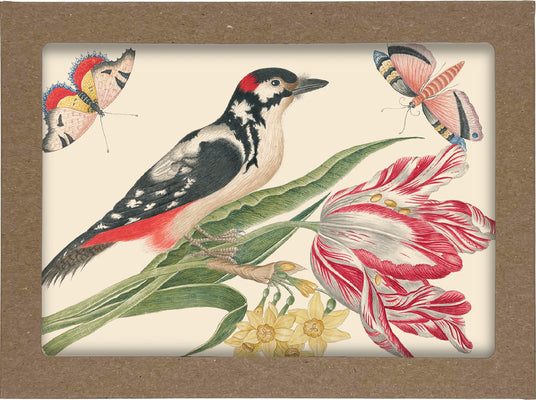Smithsonian Birds and Flowers Notecard Set: 8 Blank Notecards of 4 Designs & Envelopes product image