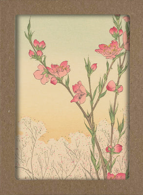 Smithsonian Cherry Blossom Notecard Set: 8 Blank Notecards of 4 Designs & Envelopes product image
