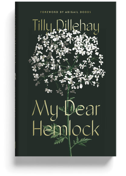 Book cover of My Dear Hemlock by Dillehay, Tilly