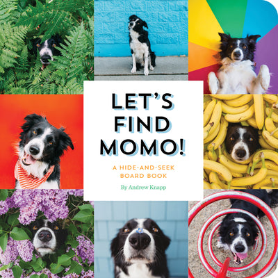 Book cover of Let's Find Momo!: A Hide-And-Seek Board Book by Knapp, Andrew
