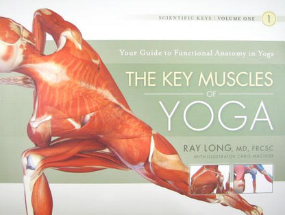Book cover of The Key Muscles of Yoga by Long, Ray