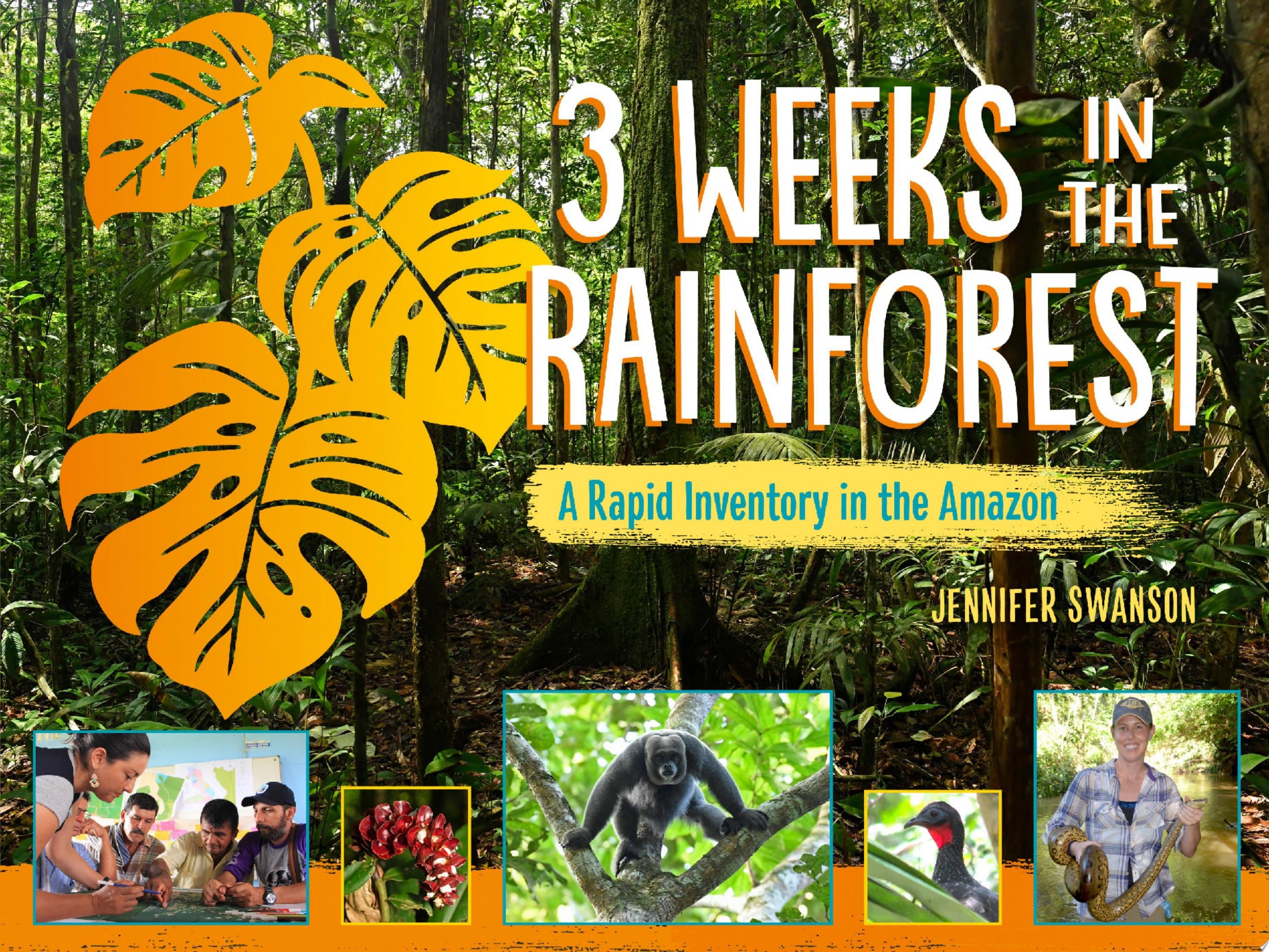 Book cover of 3 Weeks in the Rainforest: A Rapid Inventory in the Amazon by Swanson, Jennifer