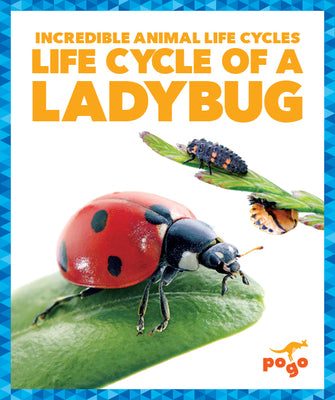 Life Cycle of a Ladybug by Kenney, Karen book cover