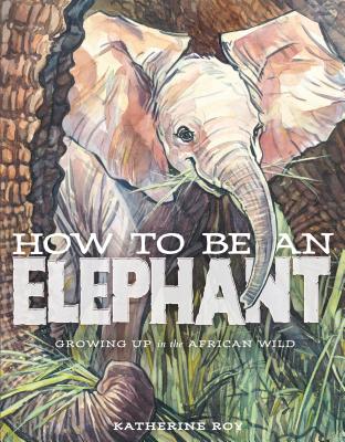 How to Be an Elephant by Katherine Roy book cover