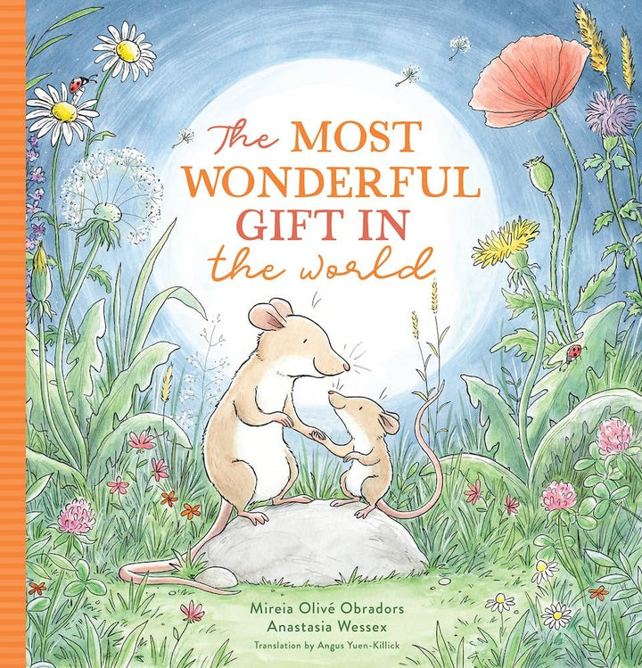 Book cover of The Most Wonderful Gift in the World by Obradors, Mireia Oliv