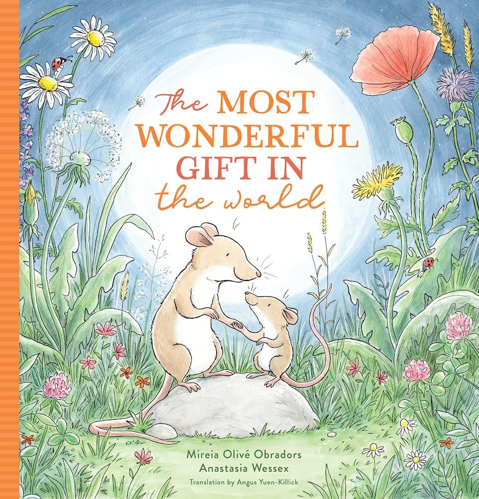 Book cover of The Most Wonderful Gift in the World by Obradors, Mireia Oliv