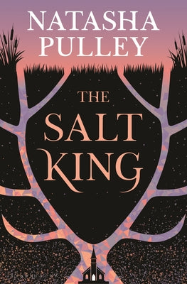 The Salt King by Pulley, Natasha book cover