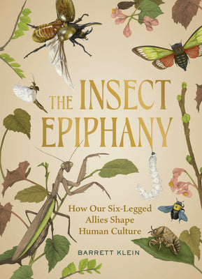 The Insect Epiphany: How Our Six-Legged Allies Shape Human Culture by Barrett Klein book cover
