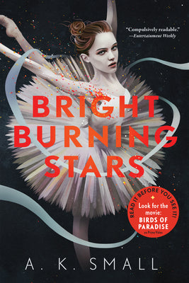 Bright Burning Stars by A. K. Small book cover