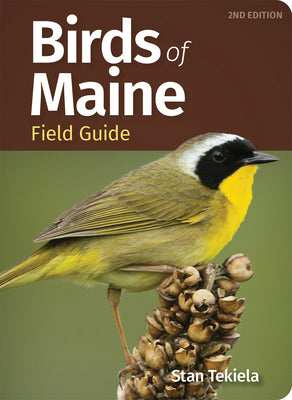Birds of Maine Field Guide by Tekiela, Stan book cover