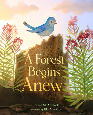 A Forest Begins Anew by Aamodt, Louise M. book cover