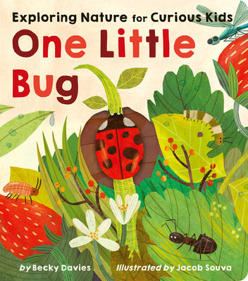 One Little Bug: Exploring Nature for Curious Kids by Becky Davies book cover
