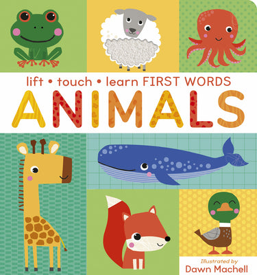 Lift Touch and Learn First Words: Animals by Villetta Craven book cover