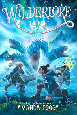 The Night Compass by Amanda Foody book cover