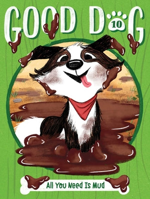 All You Need Is Mud by Cam Higgins book cover