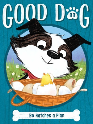 Bo Hatches a Plan by Cam Higgins book cover