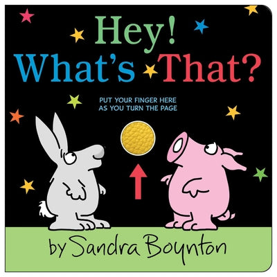 Hey! What's That? by Sandra Boynton book cover