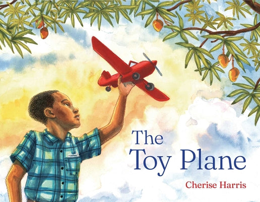 Book cover of The Toy Plane by Harris, Cherise