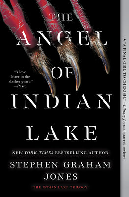 The Angel of Indian Lake by Stephen Graham Jones book cover