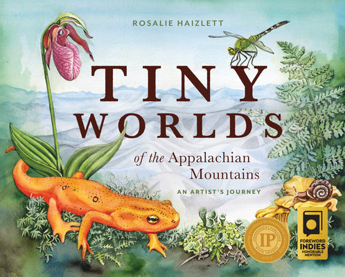Tiny Worlds of the Appalachian Mountains: An Artist's Journey by Haizlett, Rosalie book cover