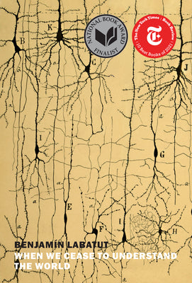 Book cover of When We Cease to Understand the World by Labatut, Benjamin