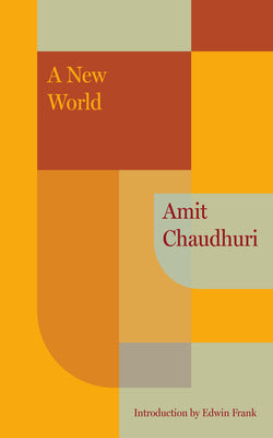 A New World by Amit Chaudhuri book cover