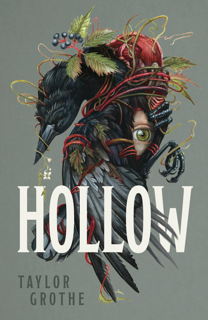Book cover of Hollow by Grothe, Taylor