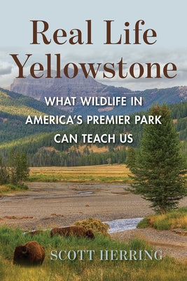 Real Life Yellowstone: What Wildlife in America's Premier Park Can Teach Us by Scott Herring book cover