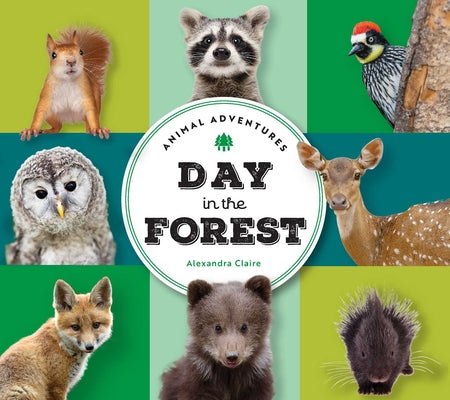 Animal Adventures: Day in the Forest by Alexandra Claire book cover