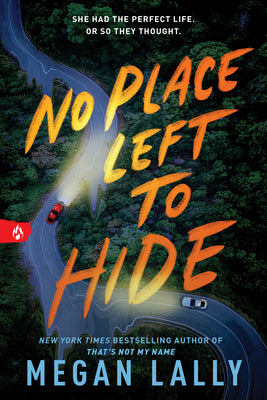 Book cover of No Place Left to Hide by Lally, Megan