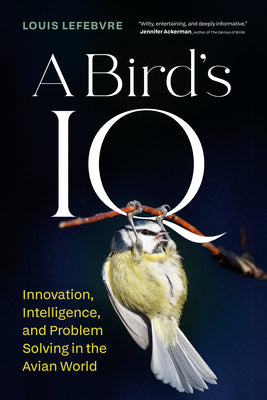 A Bird's IQ: Innovation, Intelligence, and Problem Solving in the Avian World by Lefebvre, Louis book cover