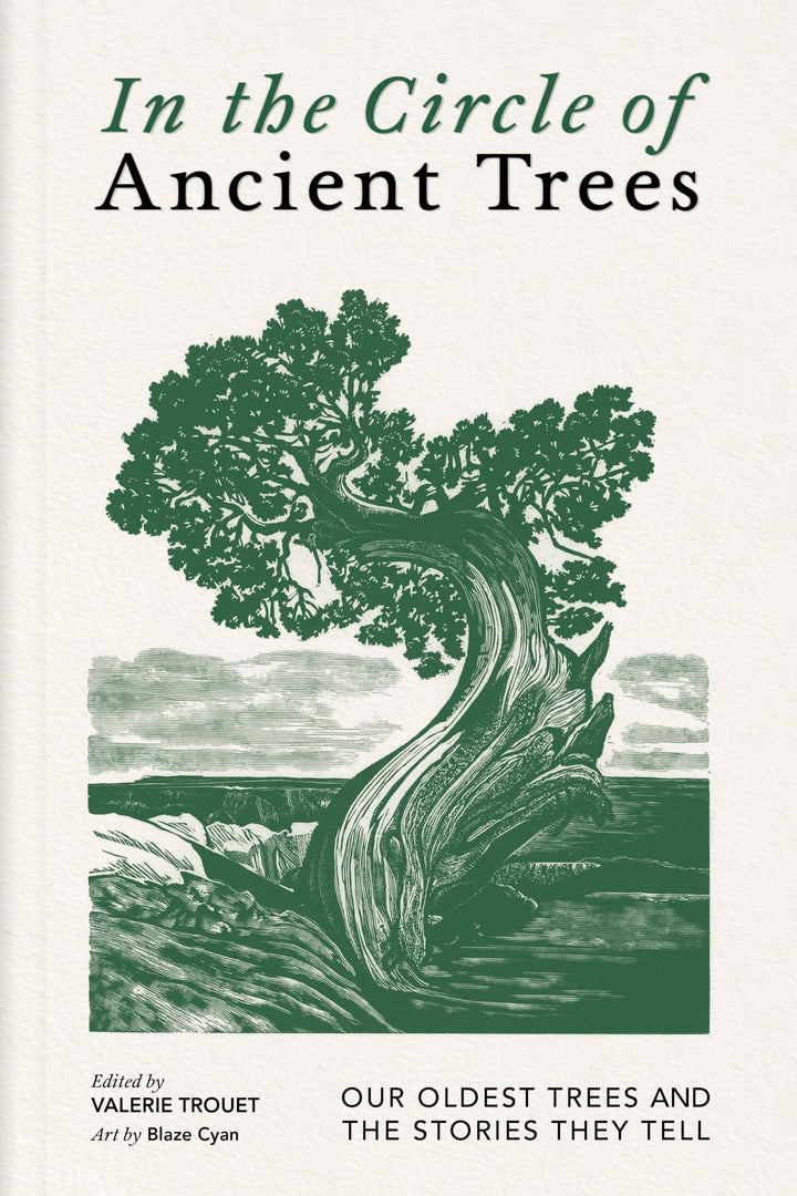 Book cover of In the Circle of Ancient Trees: Our Oldest Trees and the Stories They Tell by Trouet, Valerie