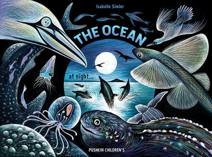 Book cover of The Ocean at Night by Simler, Isabelle