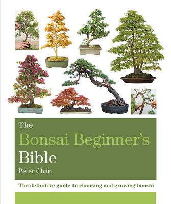 The Bonsai Beginner's Bible by Peter Chan book cover