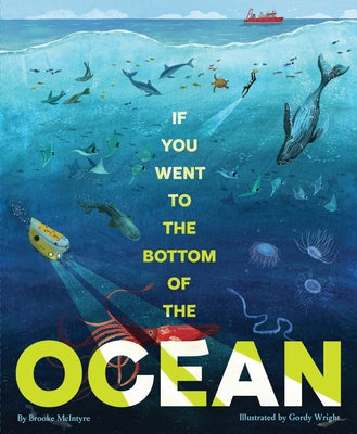 Book cover of If You Went to the Bottom of the Ocean by McIntyre, Brooke